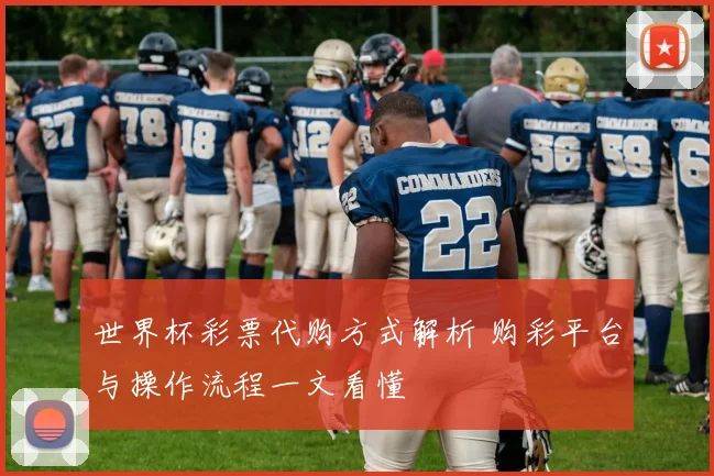 世界杯彩票代购方式解析 购彩平台与操作流程一文看懂