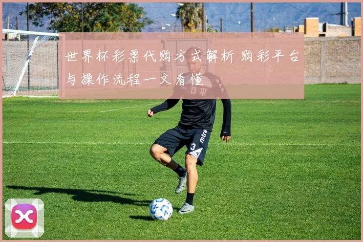 世界杯彩票代购方式解析 购彩平台与操作流程一文看懂