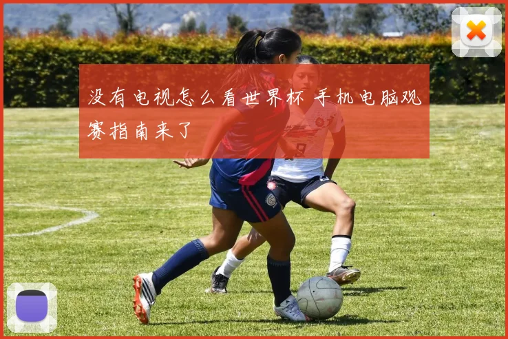 没有电视怎么看世界杯 手机电脑观赛指南来了